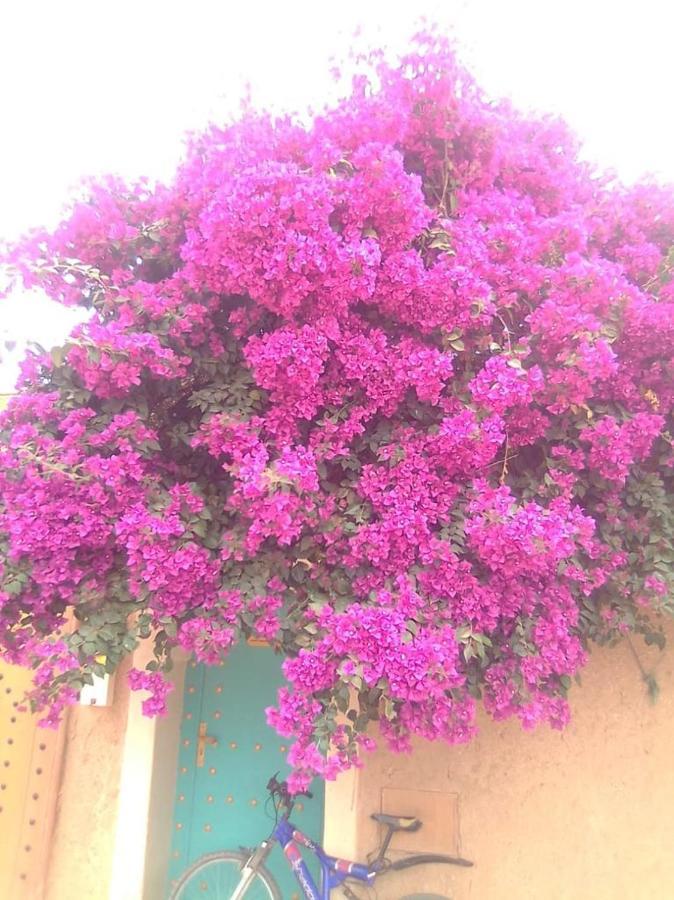 Riad Zidania Taroudant Luaran gambar